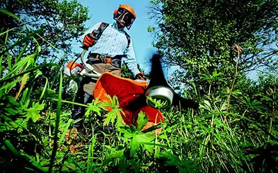 Landscaping Services